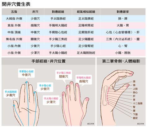 食指代表器官|按壓手掌6穴位，輕鬆保養五臟六腑